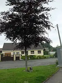 L'arbre de la Paix.