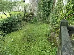 Photographie en couleurs d'un ancien fossé tapissé de végétation.