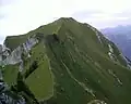 Crête du mont Billiat
