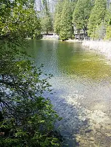 Æshna