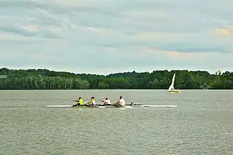 Pratique actuelle de l'aviron.