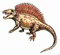 Dessin de Ctenospondylus