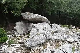 Dolmen du Col-de-Guilhem n°1
