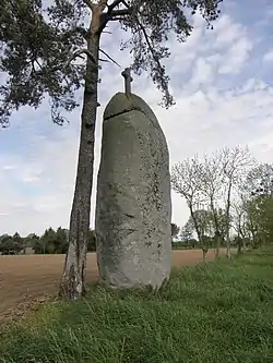 Image illustrative de l’article Pierre Longue (Cuguen)