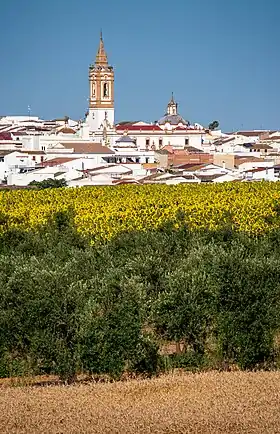 Rociana del Condado