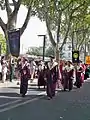 Défilé à Avignon de la confrérie de la Figue Longue Noire de Caromb.