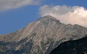 Düziçi
