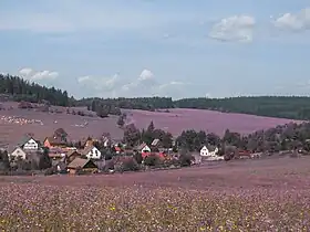 Dlouhá Stráň