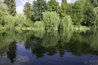 Reflets sur le Loing.
