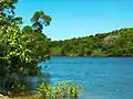 Daintree River.