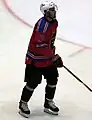 Damien Fleury 2006-2007