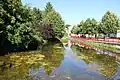 Berges de la Saulx.