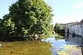 La Saulx à Dammarie.