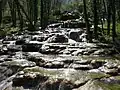 Coulée de travertin au niveau du saut du Dard.