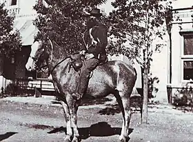 Cheval du Cap au début du XXe&nbsp;siècle, avant 1914
