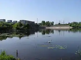 Dębe (Legionowo)