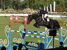 Photo d'un cheval noir franchissant un oxer en concours.