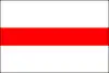 Drapeau de Termonde