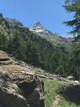 Vue sur les dents d'Ambin depuis le plan de la Vie.