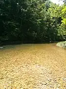 Le Dessoubre près d'Orgeans-Blanchefontaine.