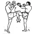 3.3 - Deflection (action de déviation du straight knee-thrust)