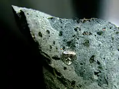 Diamant octaédrique, approx. 1,8 carat (6&nbsp;mm), sur une matrice de kimberlite, Finsch Diamond Mine, Afrique du Sud.