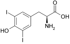 Diiodotyrosine (DIT).