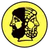 Djambi_provocateur_jaune