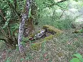 Dolmen de Cavagnès no&nbsp;1