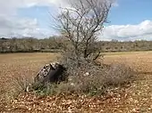 Dolmen du Lac de Lapeyre