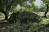Dolmen de Crouzelles