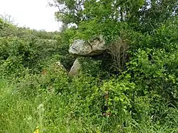 Image illustrative de l’article Pierre Levée de la Fontenille