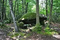 Image illustrative de l’article Dolmen du Bois de la Lieue