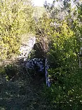 Dolmen de Bouriou no&nbsp;1