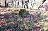 Dolmen du Bout-de-la-Combe