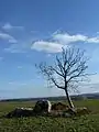 Vue vers le sud-est