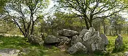 Image illustrative de l’article Dolmen du Riholo