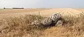 Dolmen de la Pierre Nochat