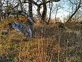 Dolmen de la Terre no&nbsp;1