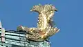 Shachihoko.