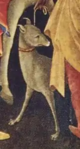 Un lévrier.