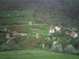Donji Krančići