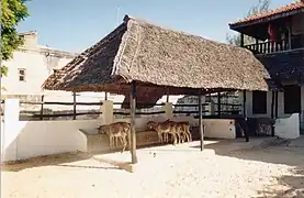 Le Sanctuaire des ânes