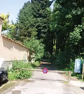 La drève du Rouge-Cloître à Auderghem.