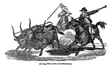 Gravure sur bois montrant des cavaliers et des taureaux.