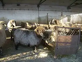 Image illustrative de l’article Duben