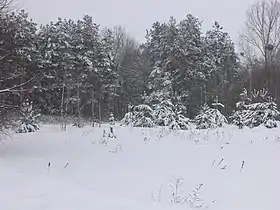 Dubica Górna