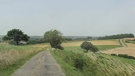 Route de crête en direction de Sainte-Aurence-Cazaux.