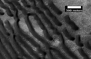 Champ de dunes vu par l'instrument HiRISE de MRO par 42,7°&nbsp;S et 38,0°&nbsp;E.