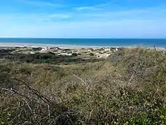 Vue des dunes d'Écault et de la Manche